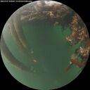 ./images/calvert/underwater/20260707/underwater20260707_220001M.jpg
