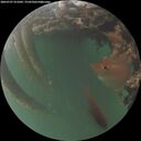 ./images/calvert/underwater/20260707/underwater20260707_221001M.jpg