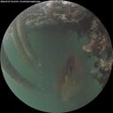 ./images/calvert/underwater/20260707/underwater20260707_221501M.jpg