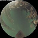 ./images/calvert/underwater/20260708/underwater20260708_051501M.jpg
