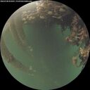 ./images/calvert/underwater/20260708/underwater20260708_052001M.jpg