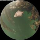 ./images/calvert/underwater/20260708/underwater20260708_053002M.jpg