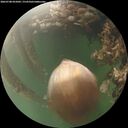 ./images/calvert/underwater/20260708/underwater20260708_055002M.jpg