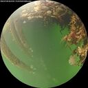 ./images/calvert/underwater/20260708/underwater20260708_062501M.jpg