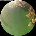 ./images/calvert/underwater/20260708/underwater20260708_063501M.jpg