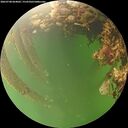 ./images/calvert/underwater/20260708/underwater20260708_064001M.jpg