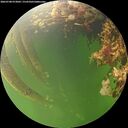 ./images/calvert/underwater/20260708/underwater20260708_073002M.jpg