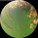 ./images/calvert/underwater/20260708/underwater20260708_074001M.jpg