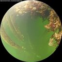 ./images/calvert/underwater/20260708/underwater20260708_074501M.jpg