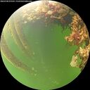 ./images/calvert/underwater/20260708/underwater20260708_075501M.jpg