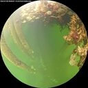 ./images/calvert/underwater/20260708/underwater20260708_080001M.jpg