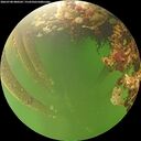./images/calvert/underwater/20260708/underwater20260708_080502M.jpg
