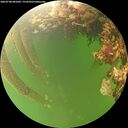 ./images/calvert/underwater/20260708/underwater20260708_081002M.jpg