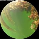 ./images/calvert/underwater/20260708/underwater20260708_081501M.jpg