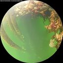 ./images/calvert/underwater/20260708/underwater20260708_082002M.jpg