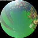 ./images/calvert/underwater/20260708/underwater20260708_084001M.jpg