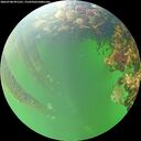 ./images/calvert/underwater/20260708/underwater20260708_091501M.jpg