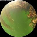 ./images/calvert/underwater/20260708/underwater20260708_093002M.jpg