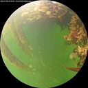./images/calvert/underwater/20260708/underwater20260708_093501M.jpg