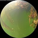 ./images/calvert/underwater/20260708/underwater20260708_100501M.jpg