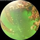 ./images/calvert/underwater/20260708/underwater20260708_115501M.jpg