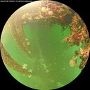 ./images/calvert/underwater/20260708/underwater20260708_120501M.jpg