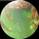 ./images/calvert/underwater/20260708/underwater20260708_134001M.jpg