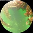 ./images/calvert/underwater/20260708/underwater20260708_135501M.jpg
