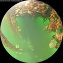 ./images/calvert/underwater/20260708/underwater20260708_142501M.jpg