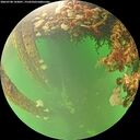 ./images/calvert/underwater/20260708/underwater20260708_143001M.jpg