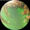 ./images/calvert/underwater/20260708/underwater20260708_143501M.jpg
