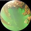 ./images/calvert/underwater/20260708/underwater20260708_144001M.jpg