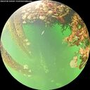 ./images/calvert/underwater/20260708/underwater20260708_144501M.jpg