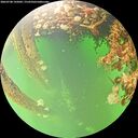 ./images/calvert/underwater/20260708/underwater20260708_145002M.jpg