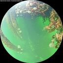 ./images/calvert/underwater/20260708/underwater20260708_150501M.jpg