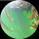 ./images/calvert/underwater/20260708/underwater20260708_151002M.jpg
