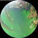 ./images/calvert/underwater/20260708/underwater20260708_152001M.jpg