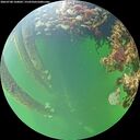 ./images/calvert/underwater/20260708/underwater20260708_160002M.jpg