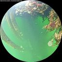 ./images/calvert/underwater/20260708/underwater20260708_162001M.jpg