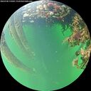 ./images/calvert/underwater/20260708/underwater20260708_172002M.jpg