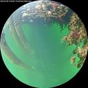 ./images/calvert/underwater/20260708/underwater20260708_172501M.jpg