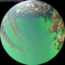 ./images/calvert/underwater/20260708/underwater20260708_173501M.jpg