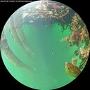 ./images/calvert/underwater/20260708/underwater20260708_175001M.jpg