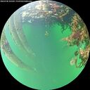 ./images/calvert/underwater/20260708/underwater20260708_181002M.jpg