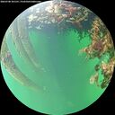 ./images/calvert/underwater/20260708/underwater20260708_181501M.jpg