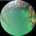 ./images/calvert/underwater/20260708/underwater20260708_182501M.jpg