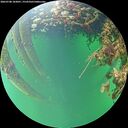 ./images/calvert/underwater/20260708/underwater20260708_183001M.jpg