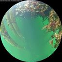 ./images/calvert/underwater/20260708/underwater20260708_184002M.jpg