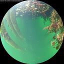 ./images/calvert/underwater/20260708/underwater20260708_184501M.jpg