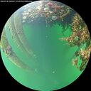 ./images/calvert/underwater/20260708/underwater20260708_185001M.jpg